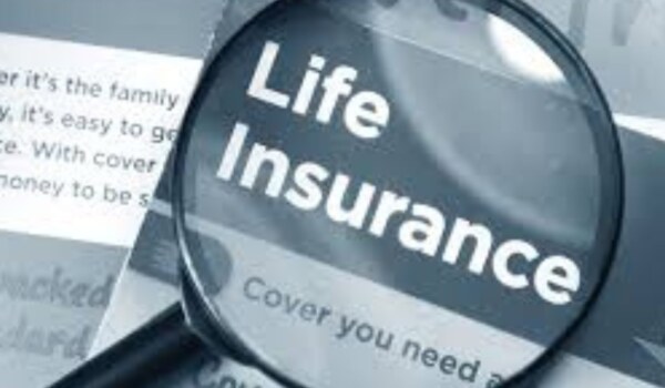 What are the options for life insurance in the USA, and how do they differ?