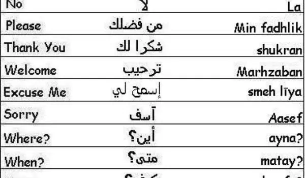 Which is the best way to learn Arabic language?