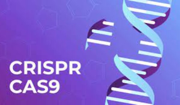 What are the benefits and risks of gene editing technology like CRISPR, and how is it being used in research and medicine?
