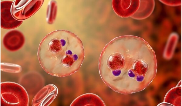 What exactly is malaria, and how does it affect our bodies?