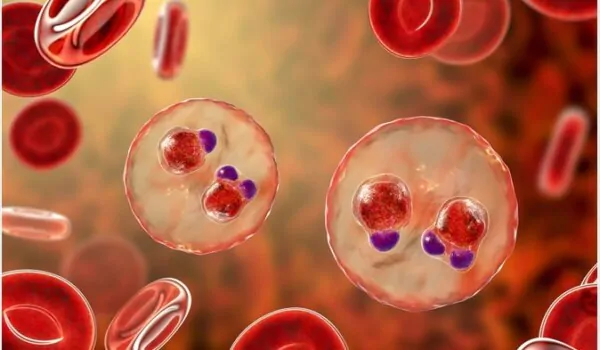 What exactly is malaria, and how does it affect our bodies?